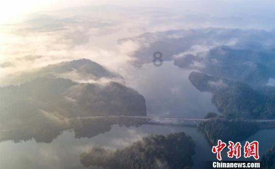 移动的靶心5无敌版